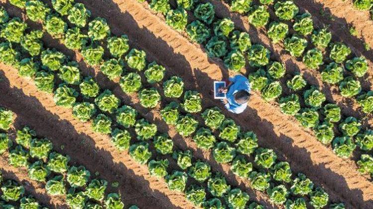 Η αγροτεχνολογία πρέπει να είναι προσβάσιμη για όλους τους Έλληνες αγρότες