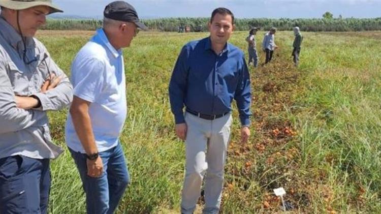 Παρατείνεται μέχρι 31/12/23 η παραχώρηση χρήσης αγροτικών ακινήτων