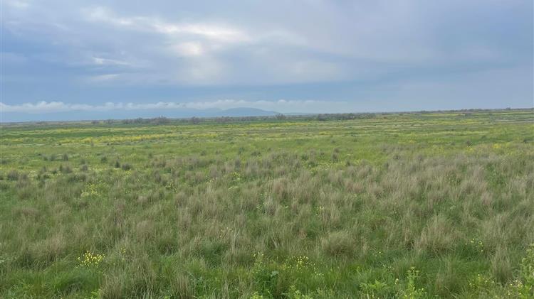 Χαρίζονται εκτάσεις ...