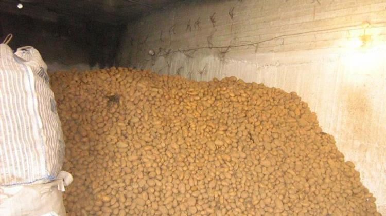 Άνω Βροντού Σερρών: Χιλιάδες τόνοι πατάτας παραμένουν στις αποθήκες