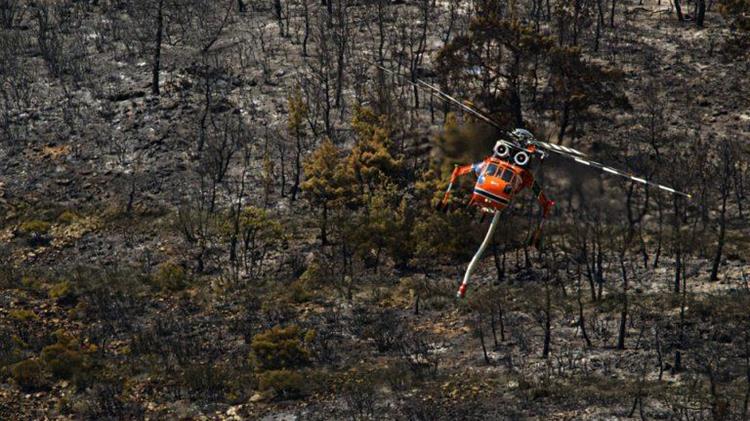 Πράσινο Κίνημα: "Όχι" στην εγκατάσταση ανεμογεννητριών στο Εθνικό Πάρκο της Δαδιάς