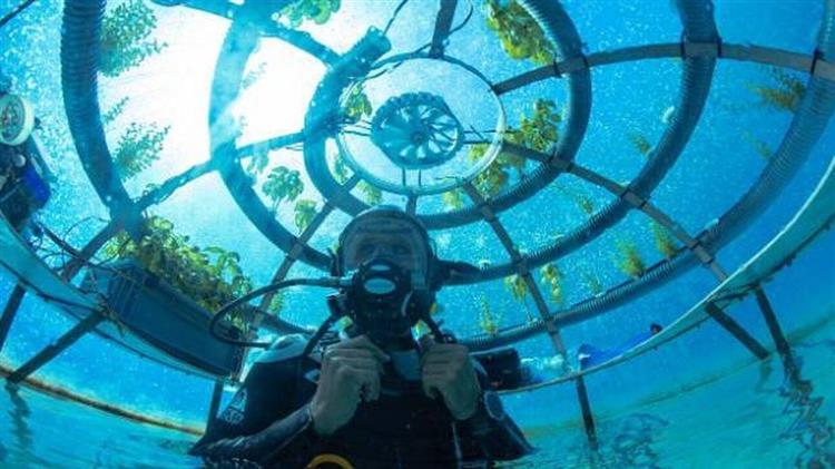 Nemo’s Garden: Το μέλλον της γεωργίας θα μπορούσε να είναι... υποθαλάσσιο