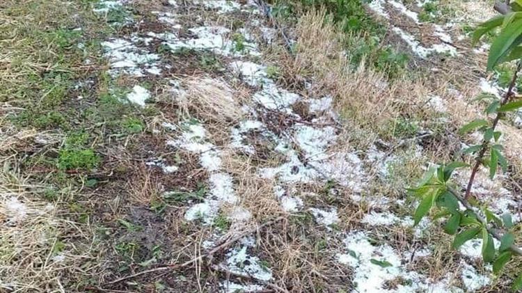 Παρουσιάζονται ζητήματα με την καταβολή των ενισχύσεων ήσσονος σημασίας (de minimis) σε κάποιους παραγωγούς