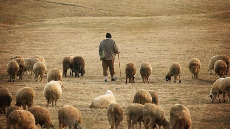 Εξισωτική Αποζημίωση 2024: Οδηγός για υποβολή αίτησης και δικαιολογητικά