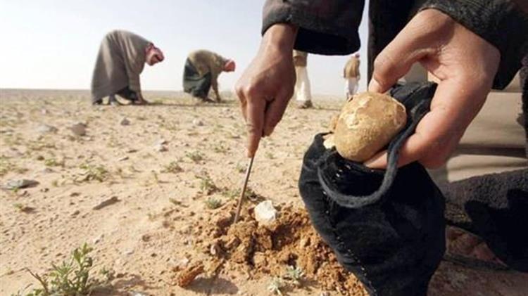Συρία: Τουλάχιστον 41 νεκροί από επιθέσεις του ΙΚ εναντίον βοσκών και ανθρώπων που μάζευαν τρούφες στην έρημο