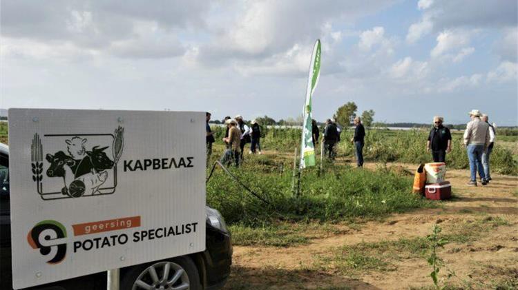 Field day πατάτας στον Άραξο από την ΚΑΡΒΕΛΑΣ ΑΒΕΕ