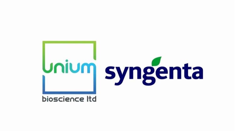 Η Syngenta και η Unium Bioscience θα φέρουν νέα βιολογική επεξεργασία σπόρων στη βορειοδυτική Ευρώπη