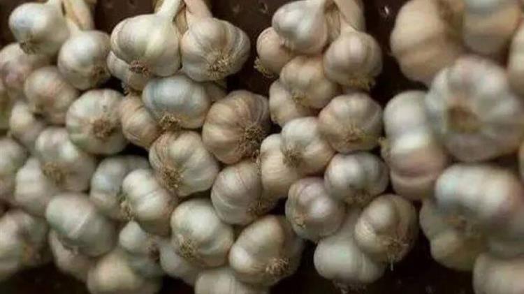 «Στοπ» από την Ε.Ε. στα κινέζικα σκόρδα