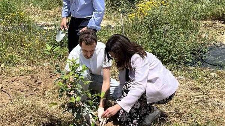 Συνεργασία μεταξύ Σλοβενίας και Ελλάδας για τους Επικονιαστές και τη Μελισσοκομία