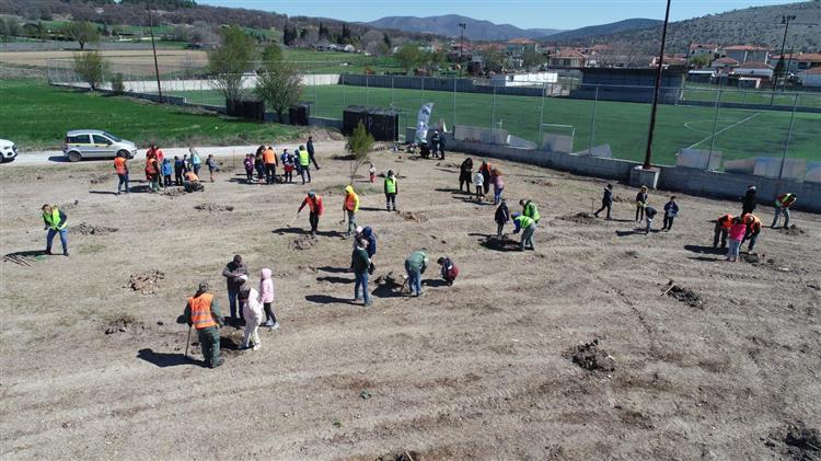 Δενδροφυτεύσεις και εκπαιδεύσεις από τη ΔΕΗ και τη We4all