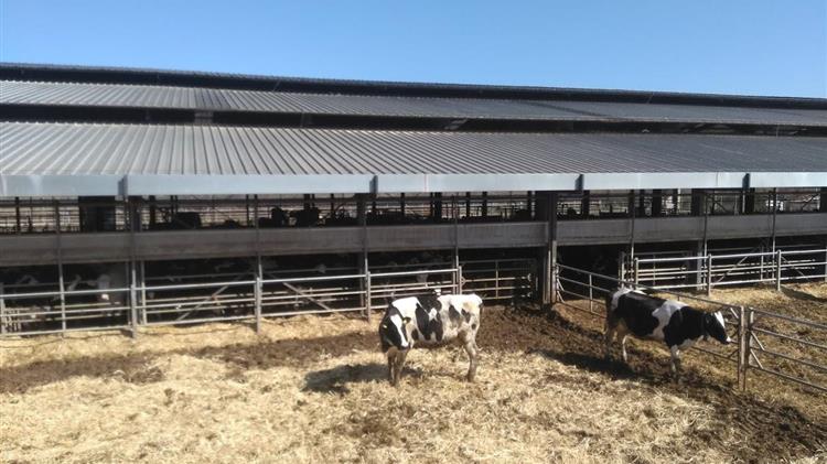 Μέτρα πρόληψης για την προστασία του ζωικού κεφαλαίου από φυσικές καταστροφές