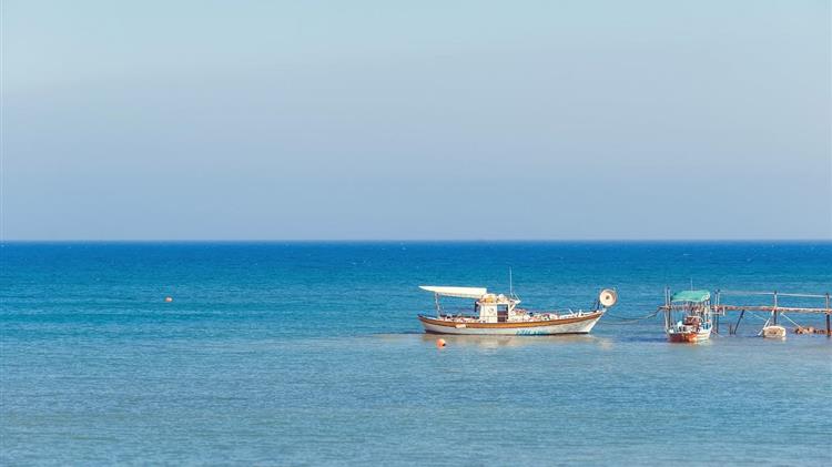 A Sea Change: Sustainable Shipping Solution to Generate Carbon Credits