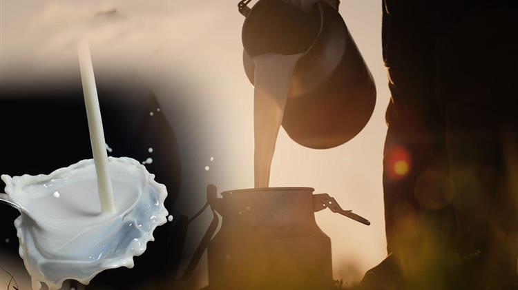 Τι δείχνουν τα στοιχεία του ΕΛΓΟ - ΔΗΜΗΤΡΑ για το γάλα στην Ελλάδα