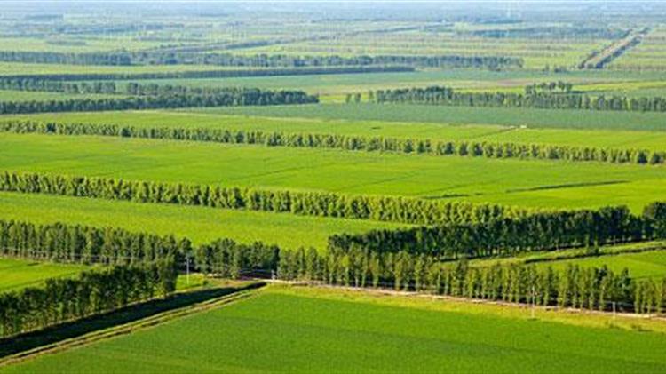 Κίνα: Η τεχνολογία αναπτύσσει την γεωργική ανάπτυξη στην έρημο Xinjiang