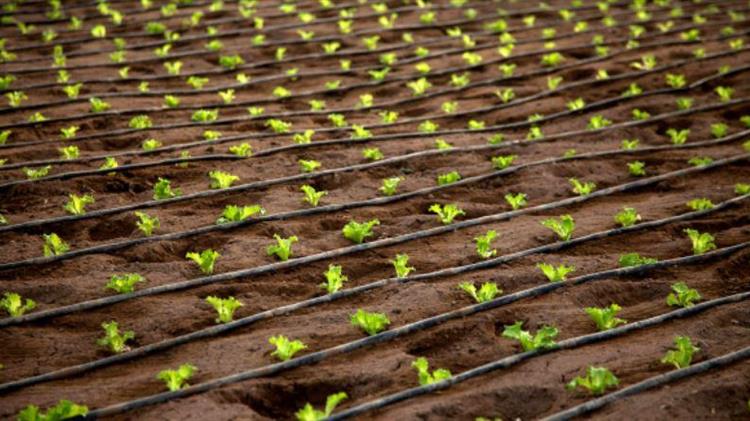 Αναρτήθηκαν οι κατάλογοι άρδευσης και περιβαλλοντικού τέλους των Δ.Ε Αρκαλοχωρίου, Καστελλίου και Θραψανού