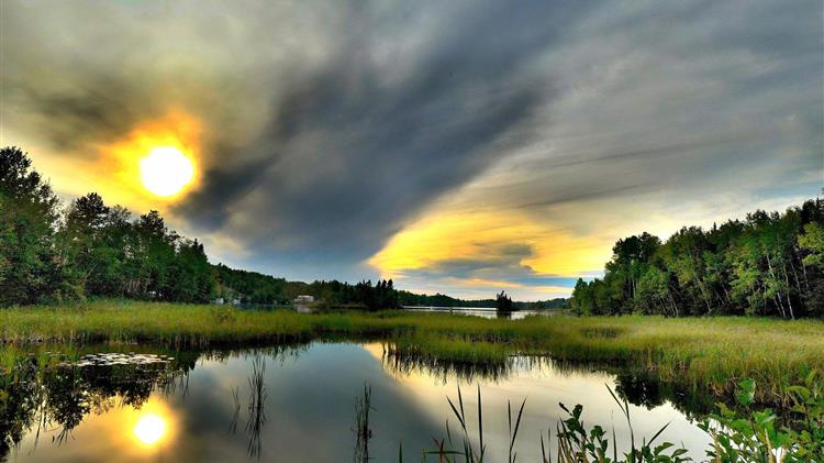 ΣΕΒ: Προστασία της βιοποικιλότητας και νέο πλαίσιο υποχρεώσεων για τις επιχειρήσεις