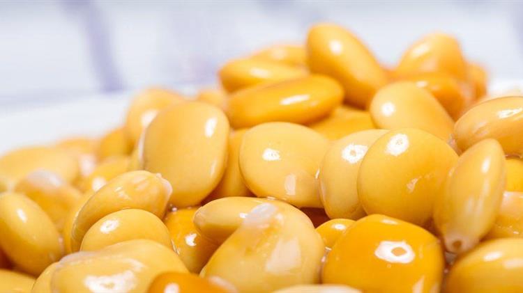 Αποτελέσματα ερευνών για την πρωτείνη λούπινου