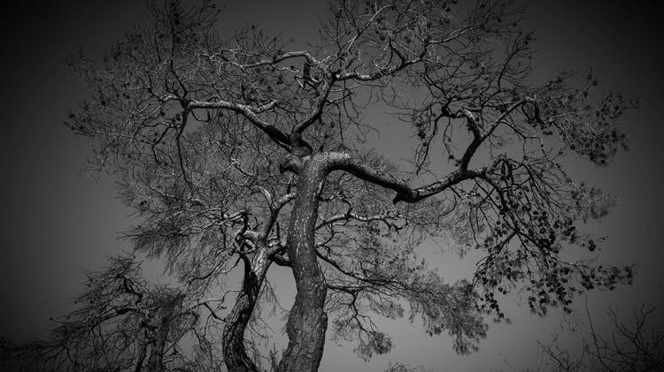 ΠΟΓΕΔΥ: «Πυρηνική βόμβα» το ΟΣΔΕ 2023 θα «σκάσει»