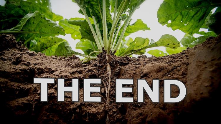 Οι τευτλοπαραγωγοί καταψηφίζουν τη Νέα Δημοκρατία