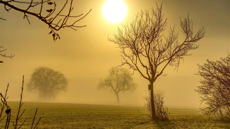 Παρέμβαση Χ. Ζεϊμπέκ για καθυστερήσεις στην υποβολή αιτήσεων ενίσχυσης των αγροτών λόγω αβελτηρίας της κυβέρνησης