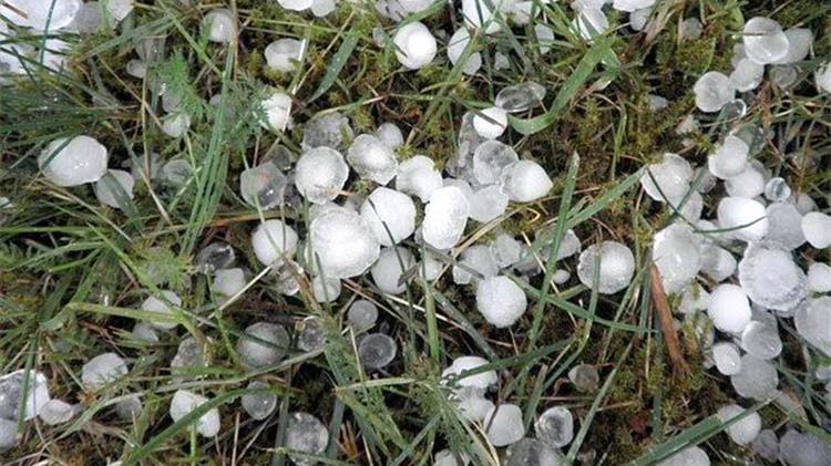 Δηλώσεις για ζημιές από χαλάζι στο Δήμο Καστοριάς