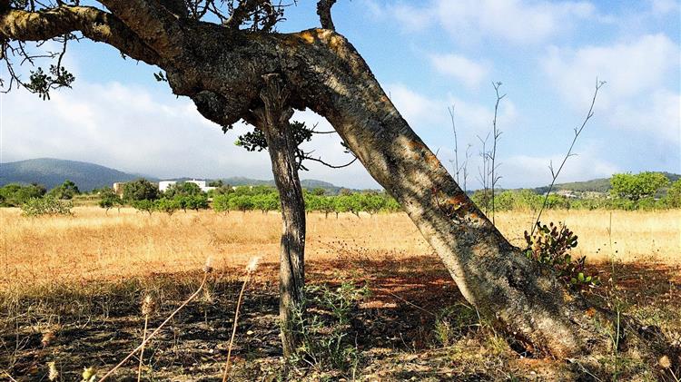 SOS για τη γεωργία: Η νότια Ευρώπη προετοιμάζεται για ένα ακόμη καλοκαίρι έντονης ξηρασίας