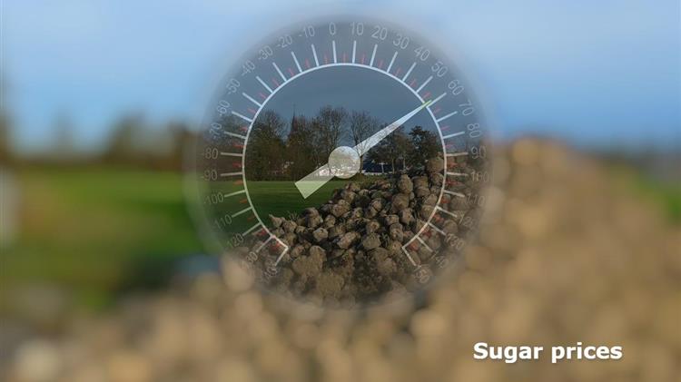 Ζάχαρη: Η πτώση στην παγκόσμια παραγωγή εκτοξεύει τις τιμές