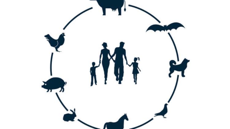 Ζωοανθρωπονόσοι στην Περιφέρεια Δυτικής Μακεδονίας. Προσέγγιση ενιαίας υγείας