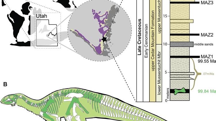Νέο είδος δεινόσαυρου στη Γιούτα ρίχνει φως σε μία περίοδο μεγάλων περιβαλλοντικών αλλαγών
