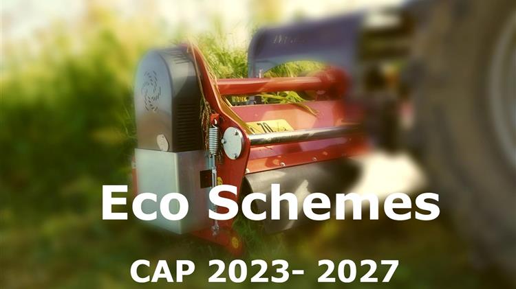 Eco Schemes: Δημοσιεύθηκαν οι εφαρμοστικές – Τι πρέπει να προσέξει ένας αγρότης