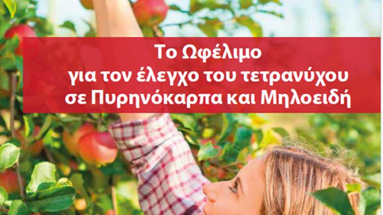 Anderline και Antholine, όπως Ecoschemes