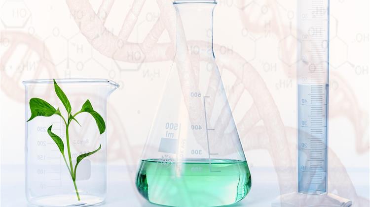 ΕΕ: Χαλαρώνουν οι κανόνες για τις καλλιέργειες με γονιδιακή επεξεργασία