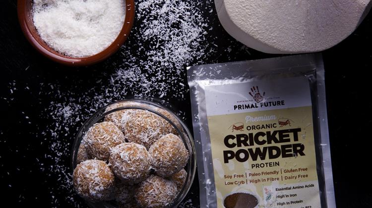 Ε.Ε: Έδωσε έγκριση σε 4 έντομα ως «νέα τρόφιμα»