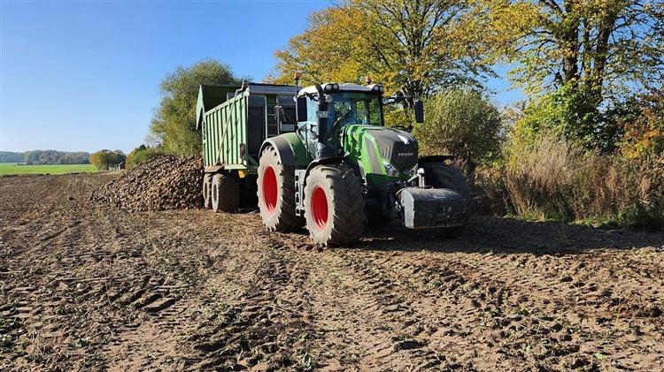 Κίνα: Μειωμένη αναμένεται η παραγωγή ζάχαρης