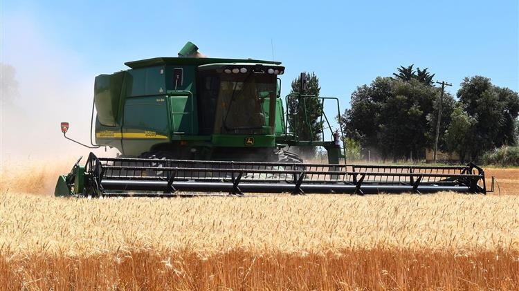 Σιτηρά: Στο χαμηλότερο επίπεδο των τελευταίων 9 ετών τα αποθέματα