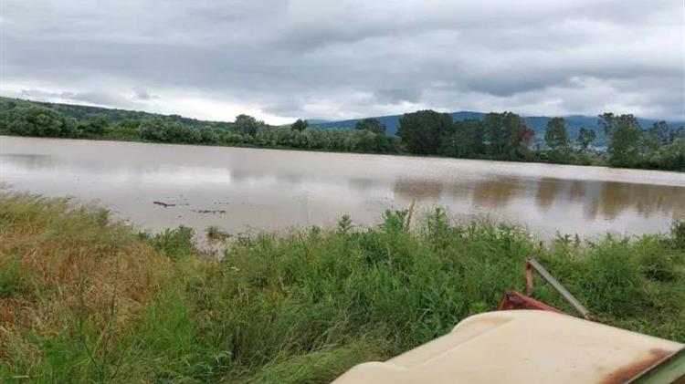 Κοζάνη: Ολική καταστροφή στις καλλιέργειες του κάμπου Δροσερού