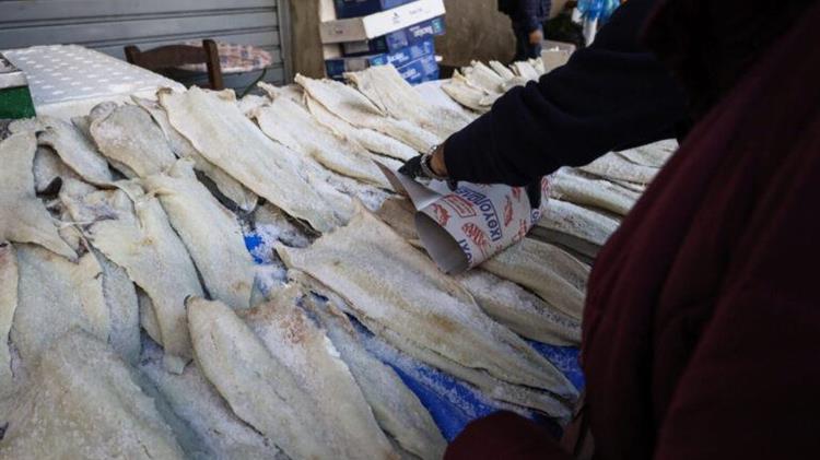 Πλούσιος σε μπακαλιάρο ο Τορωναίος Κόλπος - Το νηπιοτροφείο του είδους στη Χαλκιδική