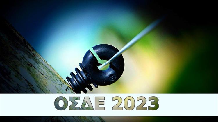 Πρόεδρος Α.Σ. Βέροιας κατά ΕΘΕΑΣ για τον ΟΣΔΕ