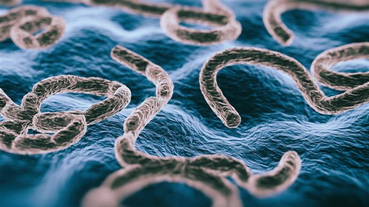 Αυτοί είναι οι θανατηφόροι ιοί που απειλούν τη Δύση