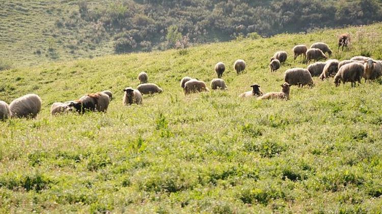 "Ξεχάστε την καύση των γεωργικών υπολειμμάτων αλλιώς ξεχάστε… τις επιδοτήσεις!"