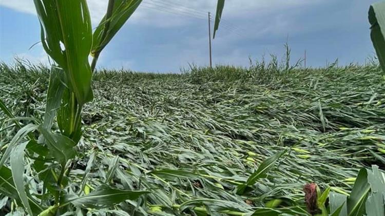 Ξάνθη: Κλιμάκιο του ΕΛΓΑ για τις καταστροφές σε καλλιέργειες