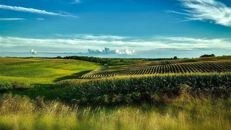 Πληρωμές Αγροτών: Έμειναν «εκτός» επειδή δήλωσαν... σωστά τα χωράφια τους