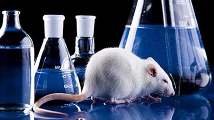 Μέτρα για την επιτάχυνση της σταδιακής κατάργησης των δοκιμών σε ζώα