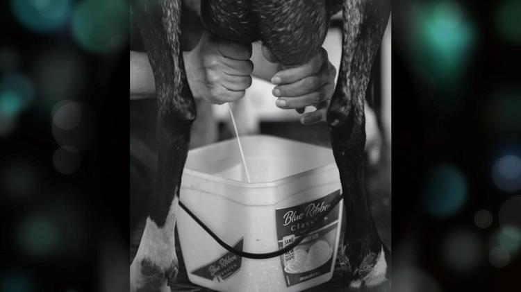 Ποιες είναι οι πέντε χώρες με την υψηλότερη κατανάλωση γάλακτος;