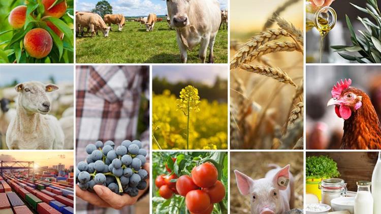 Aμφισβητείται ακόμα η ανθεκτικότητα των ευρωπαίων αγροτών