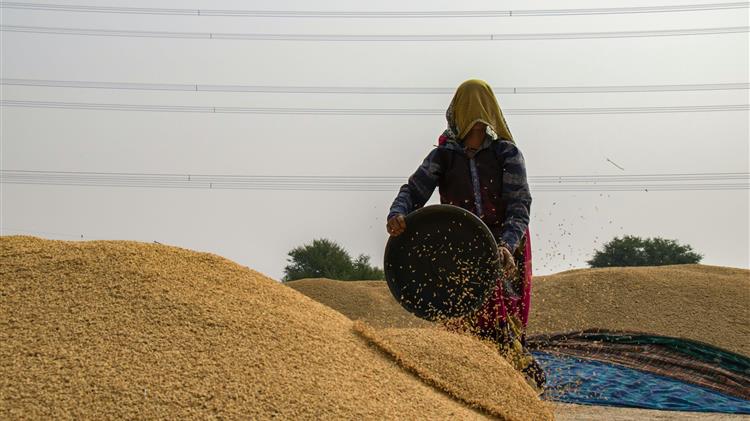 Η αθέατη πλευρά παραγωγής των τροφίμων