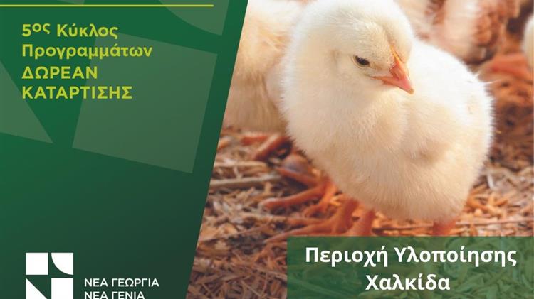 Ινστιτούτο ΕΝΑ: Οικονομικές προκλήσεις της πράσινης μετάβασης