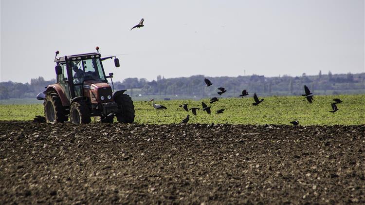 Ιταλία: Μειώθηκε η παραγωγή των γεωργικών μηχανημάτων το 2024