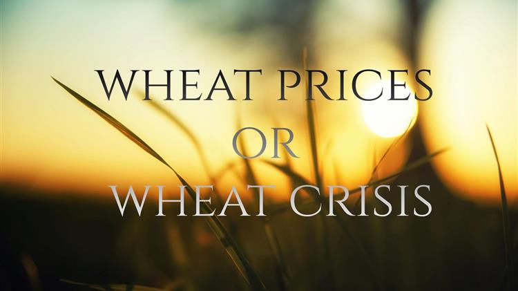 Σιτηρά: Τι σημαίνει η αποχώρηση της Ρωσίας από τη συμφωνία της Μαύρης Θάλασσας;