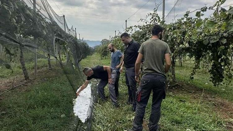 Κλιμάκιο  σε πληγείσες περιοχές της Αιτωλοακαρνανίας